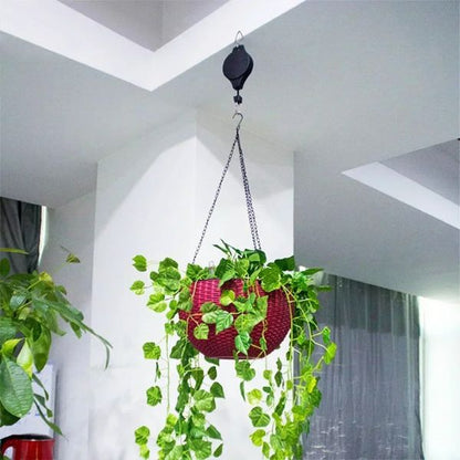 HangSmart®: Aprovecha tu espacio, decora con estilo. 🌿